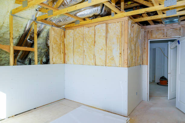 Types of Insulation We Offer in Waialua, HI